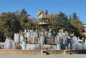 20251004_115001 20251004_115001