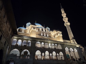 20251011_202507 20251011_202507