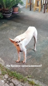 0e0837bdeda194db38ac9